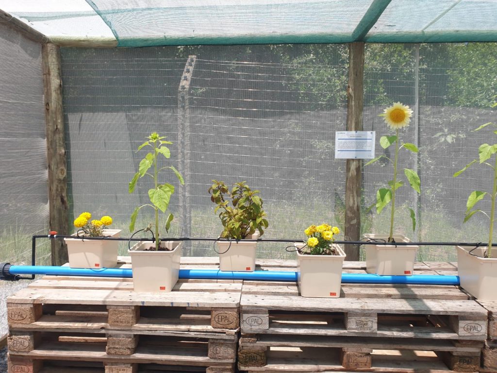 WhatsApp Image 2025-12-30 at 13.51