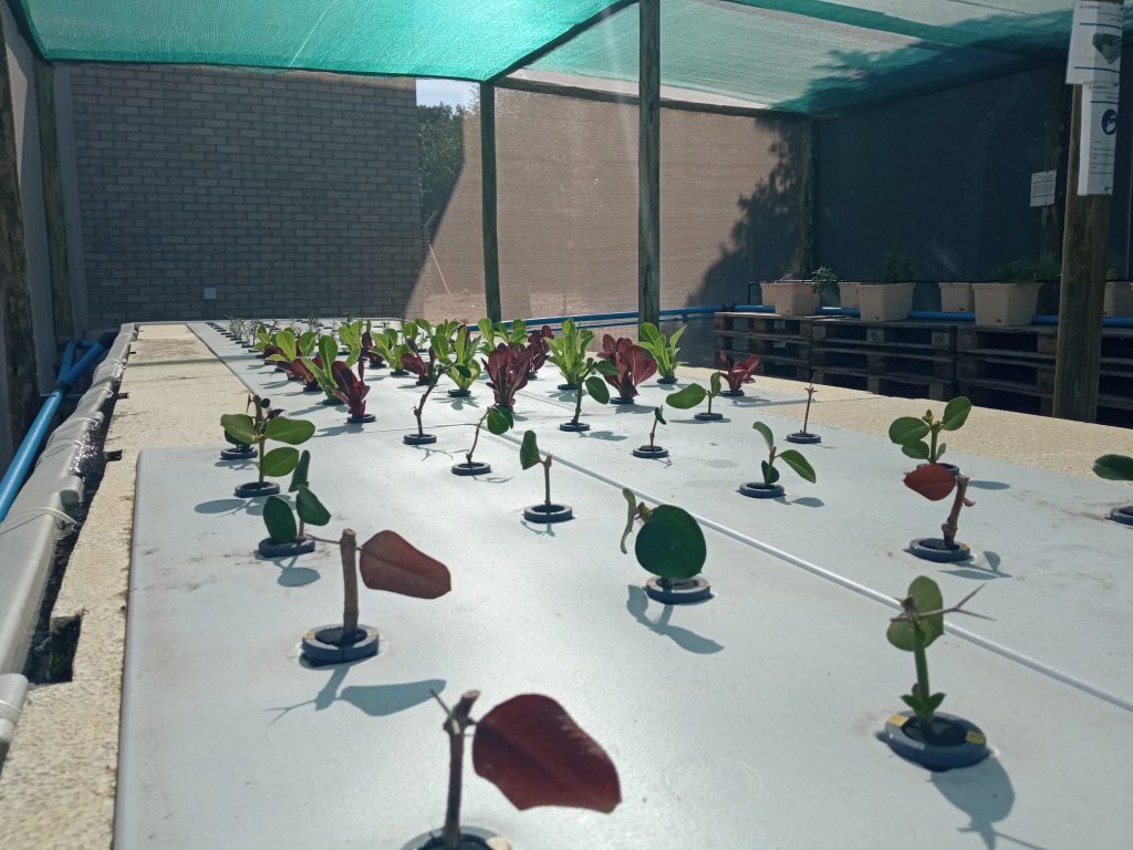 WhatsApp Image 2026-03-16 at 11.19