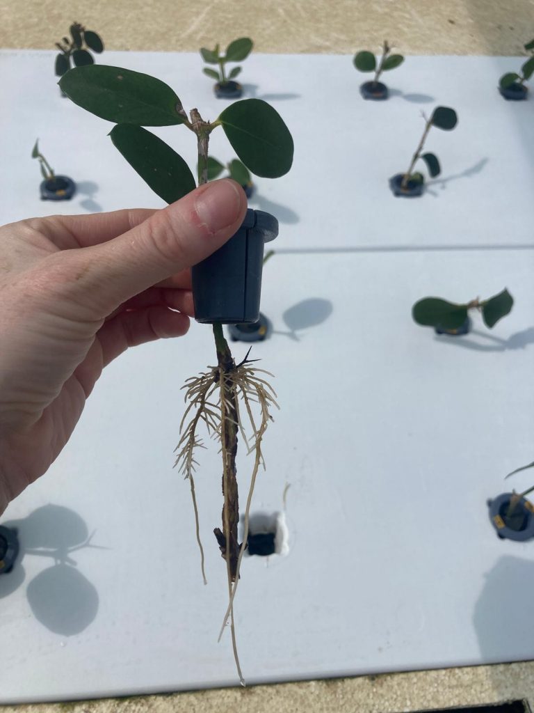 WhatsApp Image 2026-04-14 at 09.48