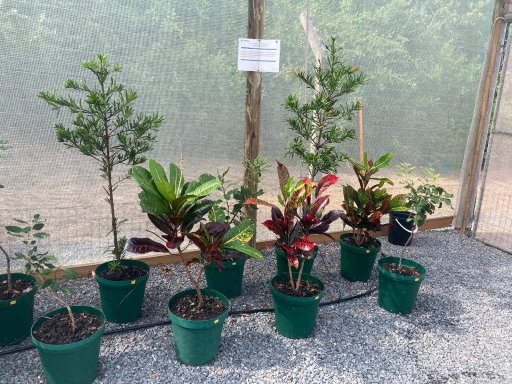 WhatsApp Image 2026-04-14 at 09.49