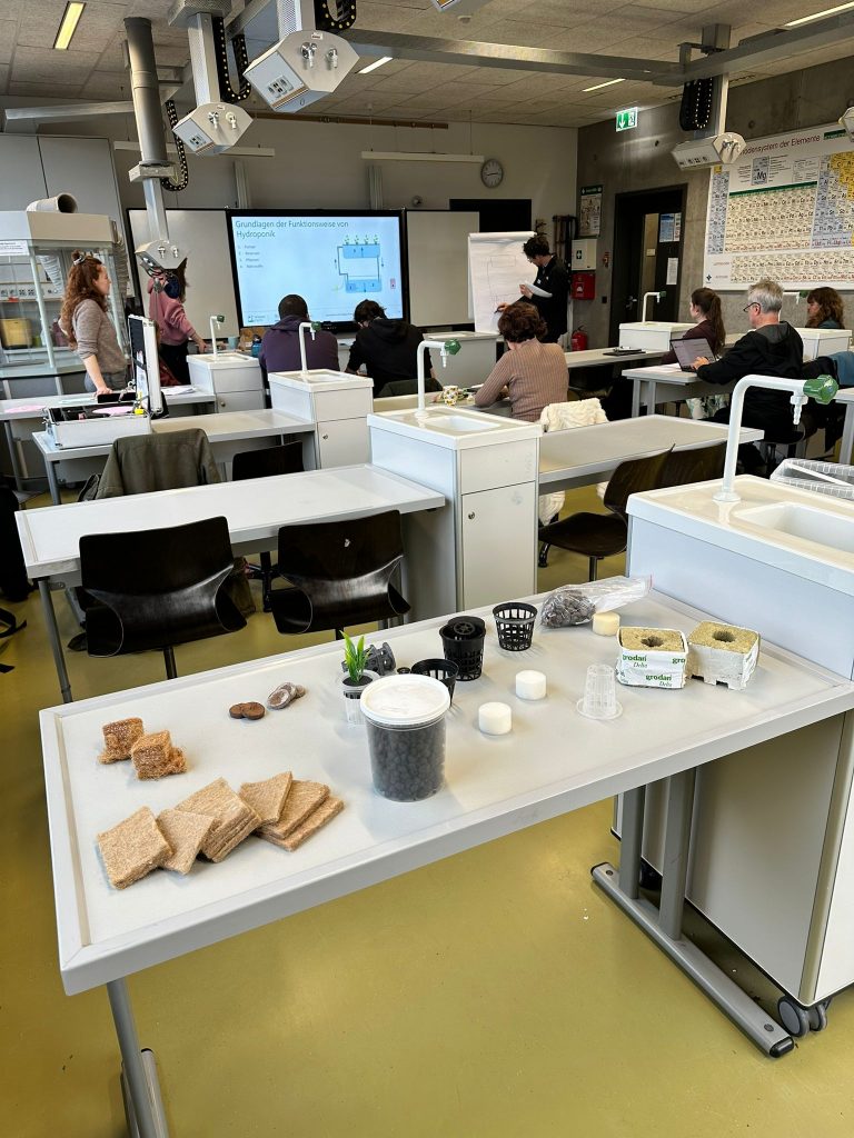 WhatsApp Image 2026-01-16 at 13.46