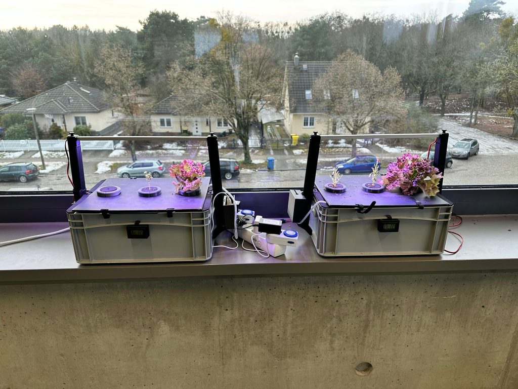 WhatsApp Image 2026-01-16 at 13.46